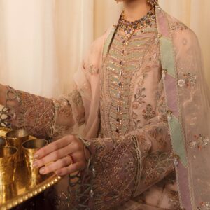 Ayzel By Afrozeh Luxury Collection – Everly Unstitched